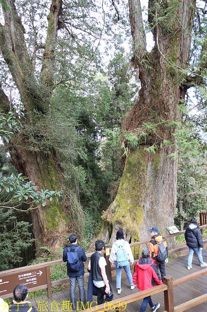 IMG_0629.jpg - 阿里山國家森林遊樂區 20220203