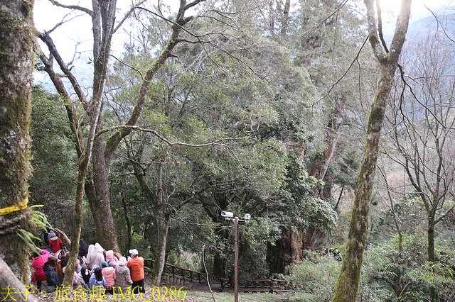 IMG_0286.jpg - 嘉義阿里山特富野古道自忠登山口看日出 20220203