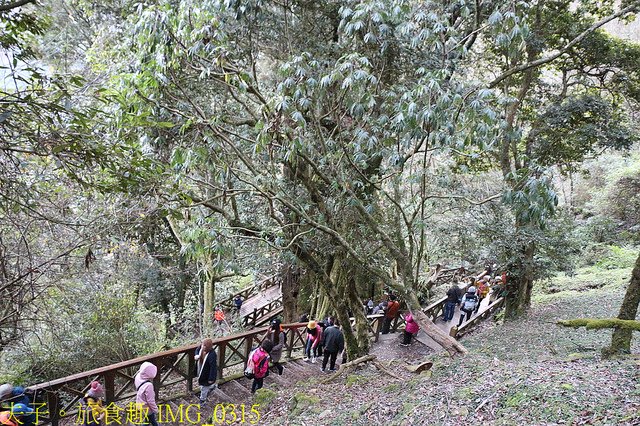 IMG_0315.jpg - 嘉義阿里山特富野古道自忠登山口看日出 20220203