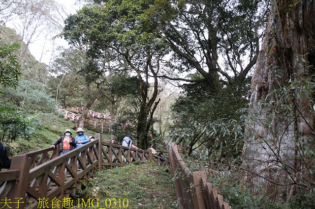 IMG_0310.jpg - 嘉義阿里山特富野古道自忠登山口看日出 20220203