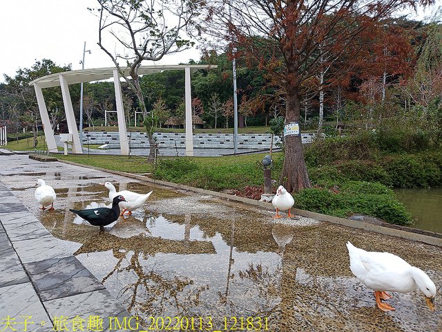 IMG_20220113_121831.jpg - 桃園大有梯田生態公園 20220114