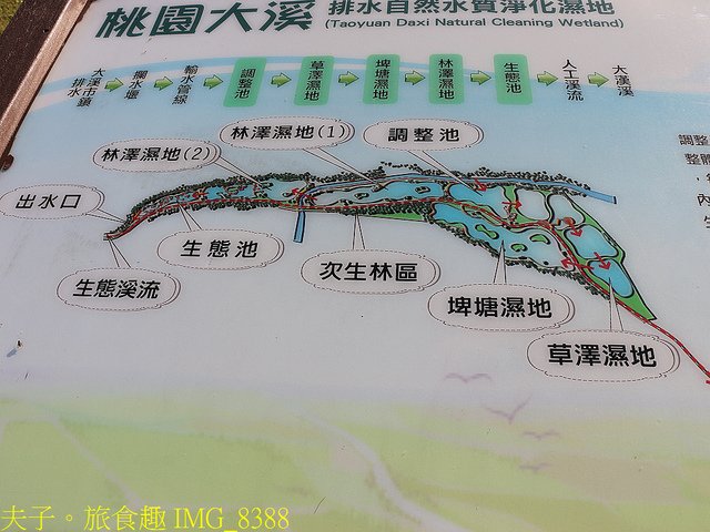 IMG_8388.jpg - 桃園大溪 月眉人工濕地生態公園  落羽松 20211215