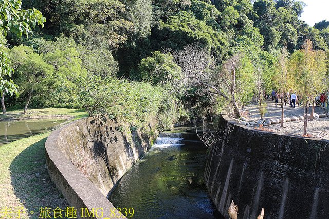 IMG_8339.jpg - 桃園大溪 月眉人工濕地生態公園  落羽松 20211215