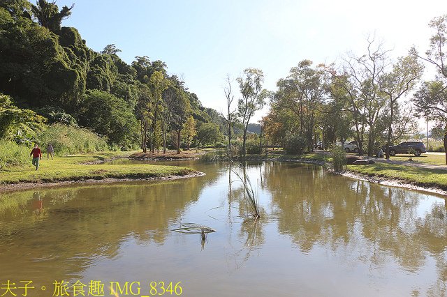 IMG_8346.jpg - 桃園大溪 月眉人工濕地生態公園  落羽松 20211215