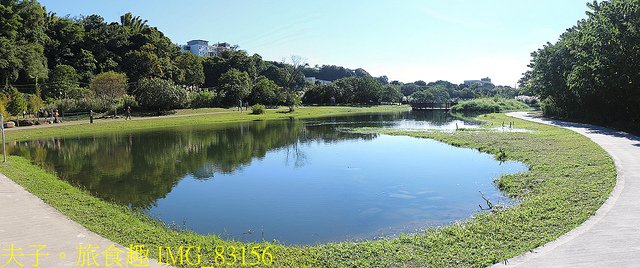 IMG_83156.jpg - 桃園大溪 月眉人工濕地生態公園  落羽松 20211215