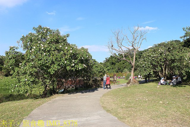 IMG_8378.jpg - 桃園大溪 月眉人工濕地生態公園  落羽松 20211215