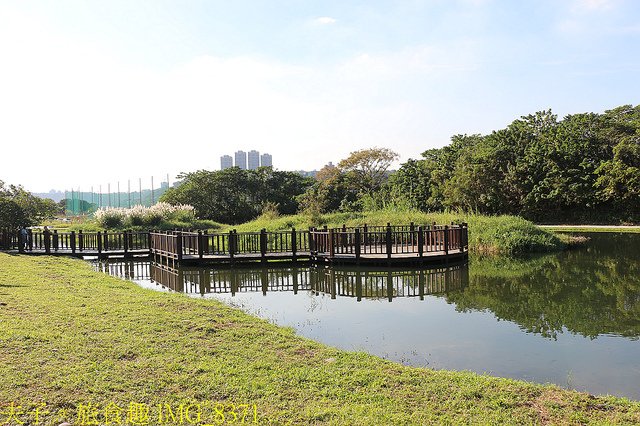 IMG_8371.jpg - 桃園大溪 月眉人工濕地生態公園  落羽松 20211215