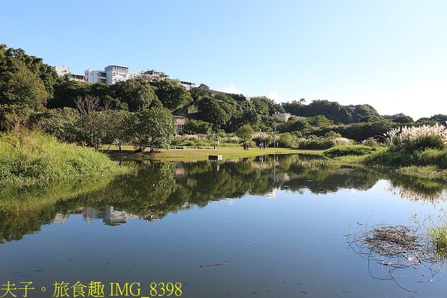 IMG_8398.jpg - 桃園大溪 月眉人工濕地生態公園  落羽松 20211215