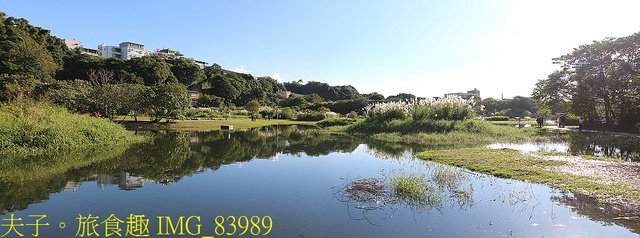 IMG_83989.jpg - 桃園大溪 月眉人工濕地生態公園  落羽松 20211215