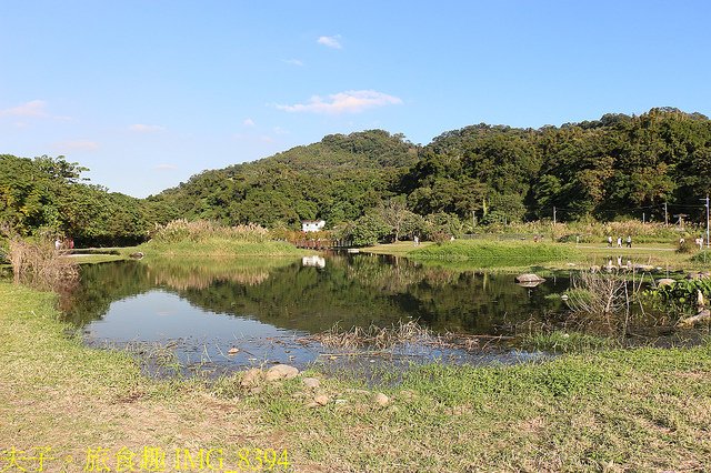 IMG_8394.jpg - 桃園大溪 月眉人工濕地生態公園  落羽松 20211215