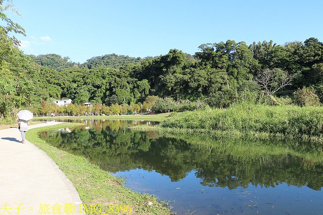 IMG_8396.jpg - 桃園大溪 月眉人工濕地生態公園  落羽松 20211215
