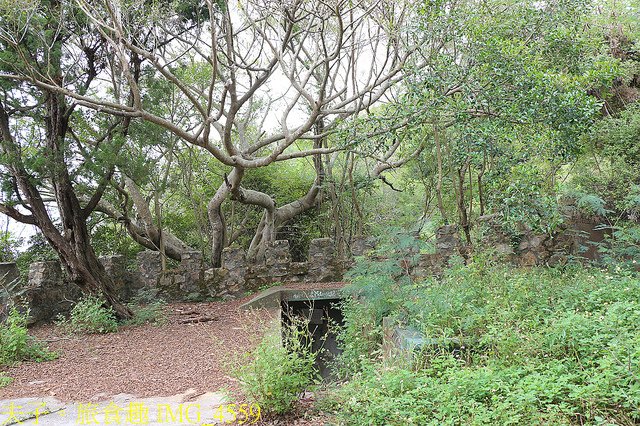 IMG_4559.jpg - 馬祖 國際橋牌社第二季 劇情私房秘境 20211027