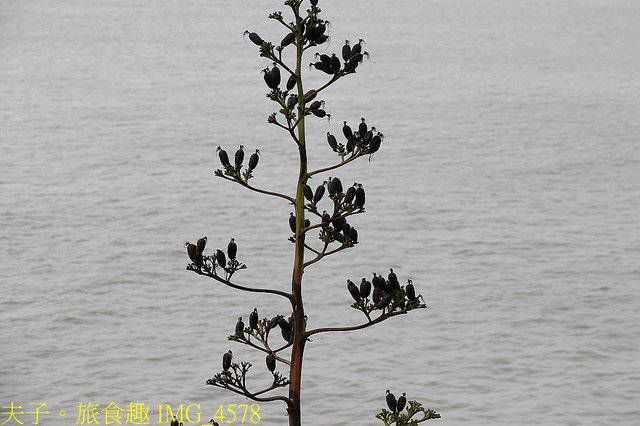 IMG_4578.jpg - 馬祖 國際橋牌社第二季 劇情私房秘境 20211027
