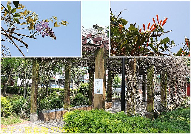 5756689.jpg - 桃園龍潭大池 20210310