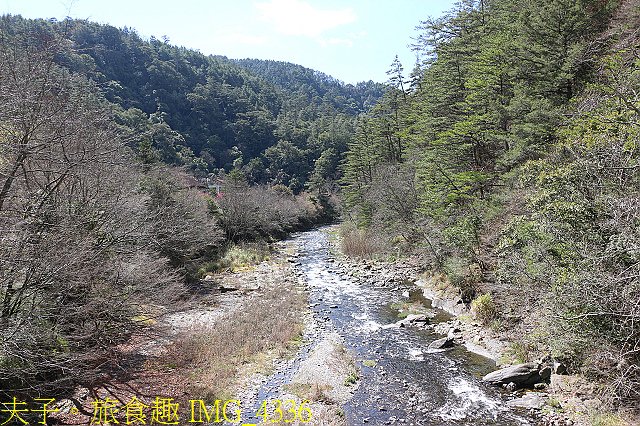 IMG_4336.jpg - 2021年 武陵農場 山櫻花、紅粉佳人 繽紛綻放 20210214