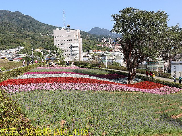 IMG_4105.jpg - 北投社三層崎公園「台版富良野花海」20210203