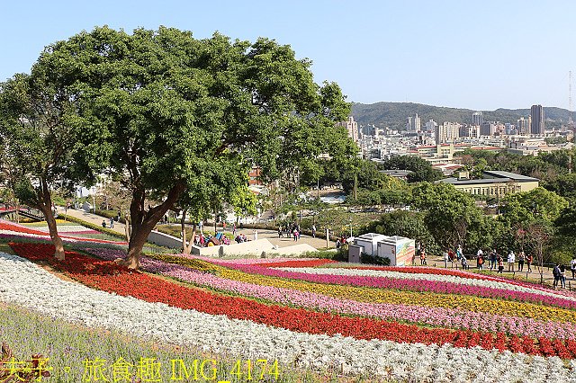 IMG_4174.jpg - 北投社三層崎公園「台版富良野花海」20210203