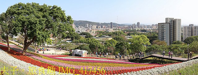 IMG_417456.jpg - 北投社三層崎公園「台版富良野花海」20210203