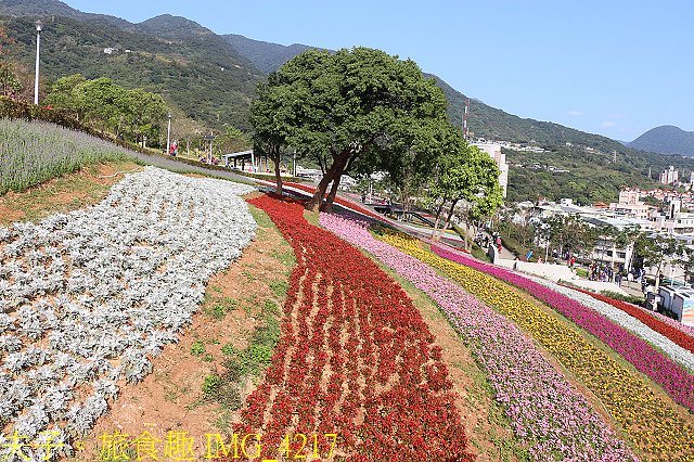 IMG_4217.jpg - 北投社三層崎公園「台版富良野花海」20210203