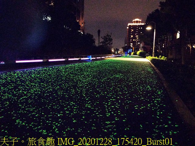 IMG_20201228_175420_Burst01.jpg - 桃林鐵路路廊 阿凡達 星光步道 陸地版藍眼淚 20201228