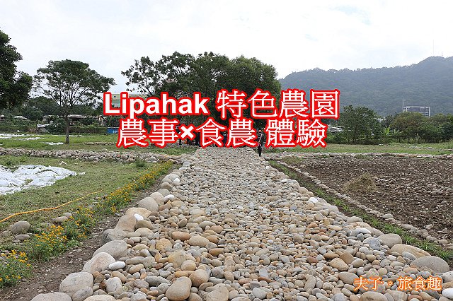 IMG_2852-2.jpg - Lipahak 三鶯原生態園區 20201114