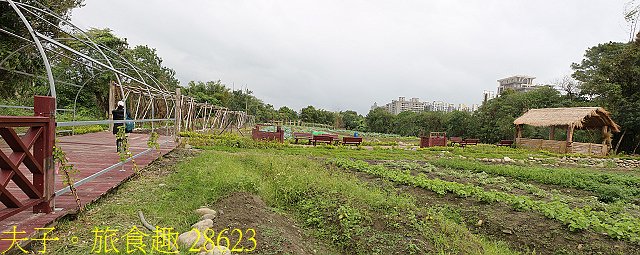 28623.jpg - Lipahak 三峽野菜農園 20201114