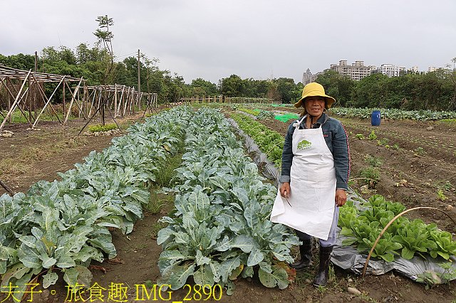 IMG_2890.jpg - Lipahak 三峽野菜農園 20201114