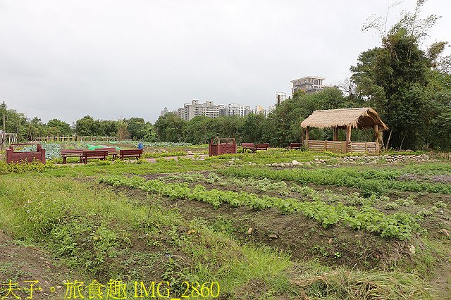 IMG_2860.jpg - Lipahak 三峽野菜農園 20201114