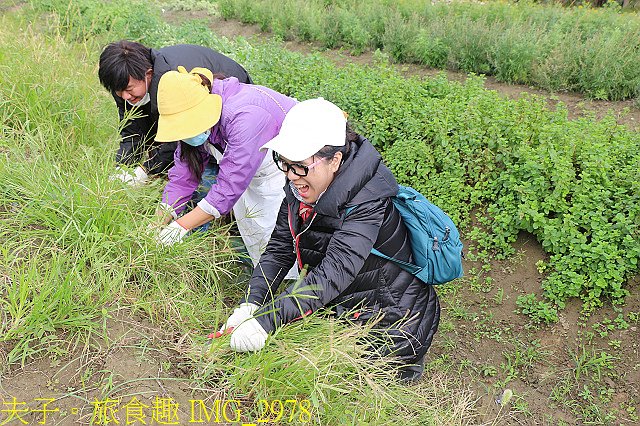 IMG_2978.jpg - Lipahak 三峽野菜農園 20201114