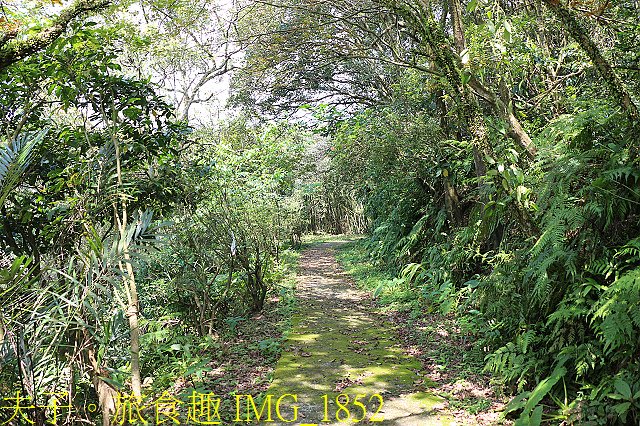 IMG_1852.jpg - 新北市瑞芳區 夢幻瀑布 20200317