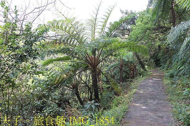 IMG_1854.jpg - 新北市瑞芳區 夢幻瀑布 20200317
