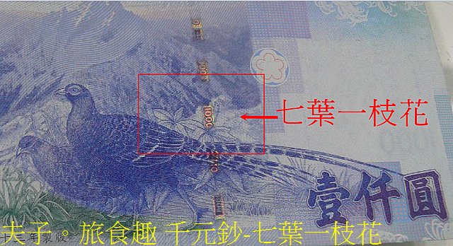 千元鈔-七葉一枝花.jpg - 新北市瑞芳區 夢幻瀑布 20200317