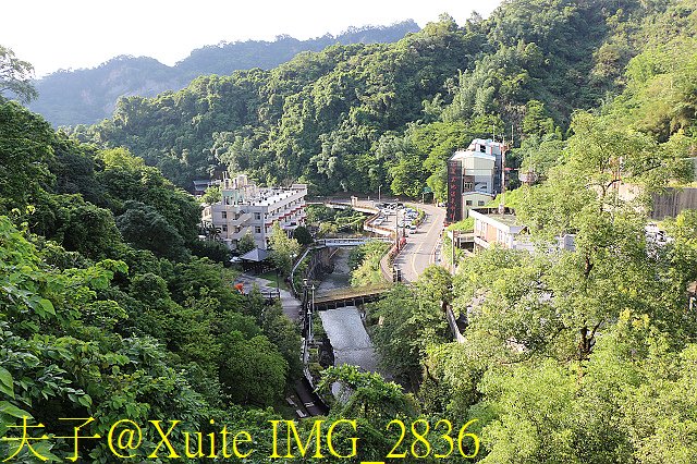 IMG_2836.jpg - 台南關子嶺 嶺頂公園 蝴蝶標放 20190714