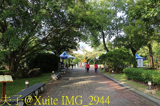 IMG_2944.jpg - 台南關子嶺 嶺頂公園 蝴蝶標放 20190714