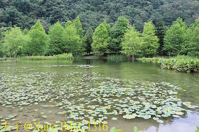 IMG_1316.jpg - 苗栗 南庄雲水度假森林 20190603 