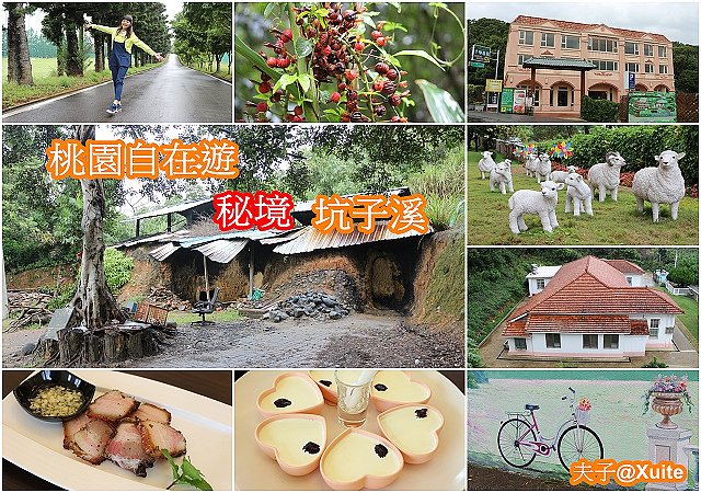 桃園自在遊.jpg - 千郁農場 20181012