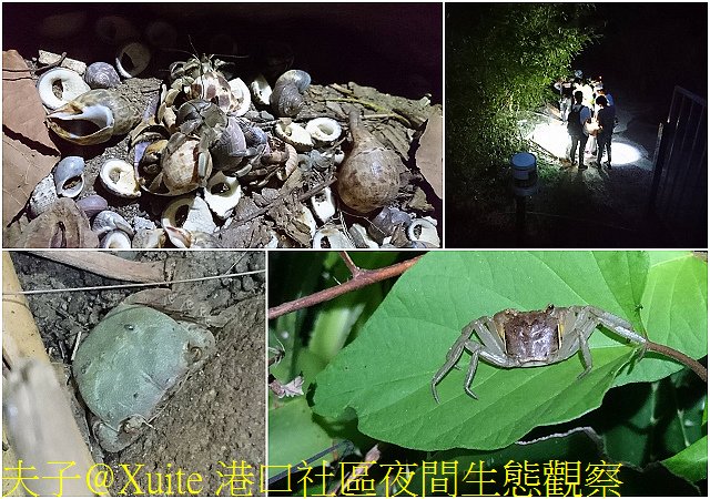 恆春半島 生態旅遊 Plus 吃在地 墾丁旅行加分百分百 