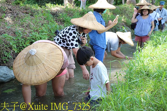 IMG_7325.jpg - 屏東縣恆春鎮龍水社區 20180901