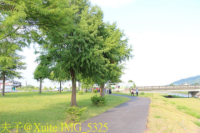 IMG_5325.jpg - 宜蘭三星落羽松秘境 2018/07/28
