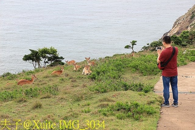 IMG_3034.jpg - 馬祖大坵島 帥哥大坵一兵 可愛梅花鹿 20180610