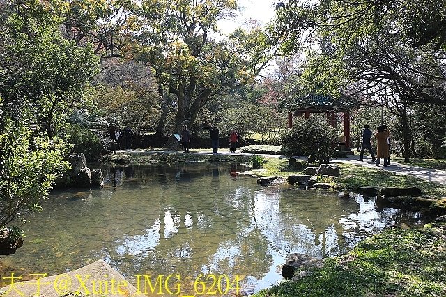 IMG_6204.jpg - 陽明山公園 2018/01/23
