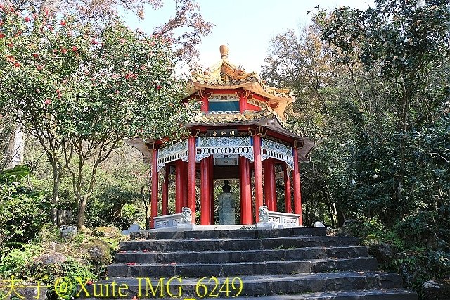 IMG_6249.jpg - 陽明山公園 2018/01/23