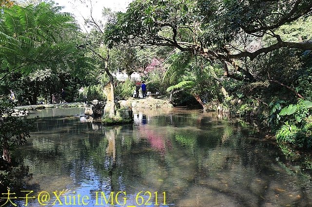IMG_6211.jpg - 陽明山公園 2018/01/23