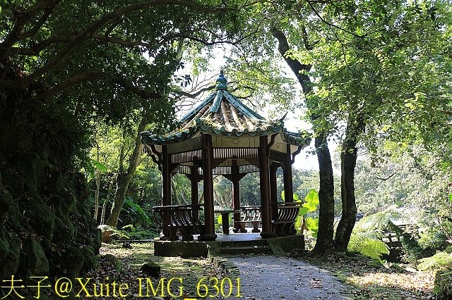IMG_6301.jpg - 陽明山公園 2018/01/23