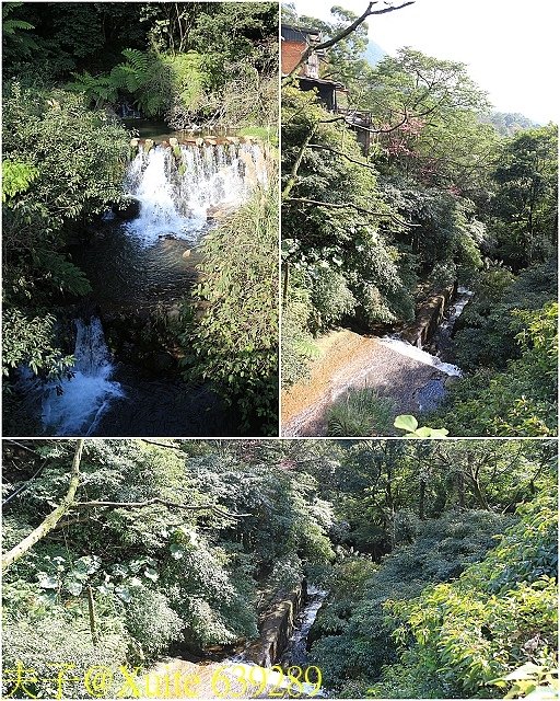 陽明公園 花鐘 小隱潭 大屯瀑布 湖山小鎮午餐