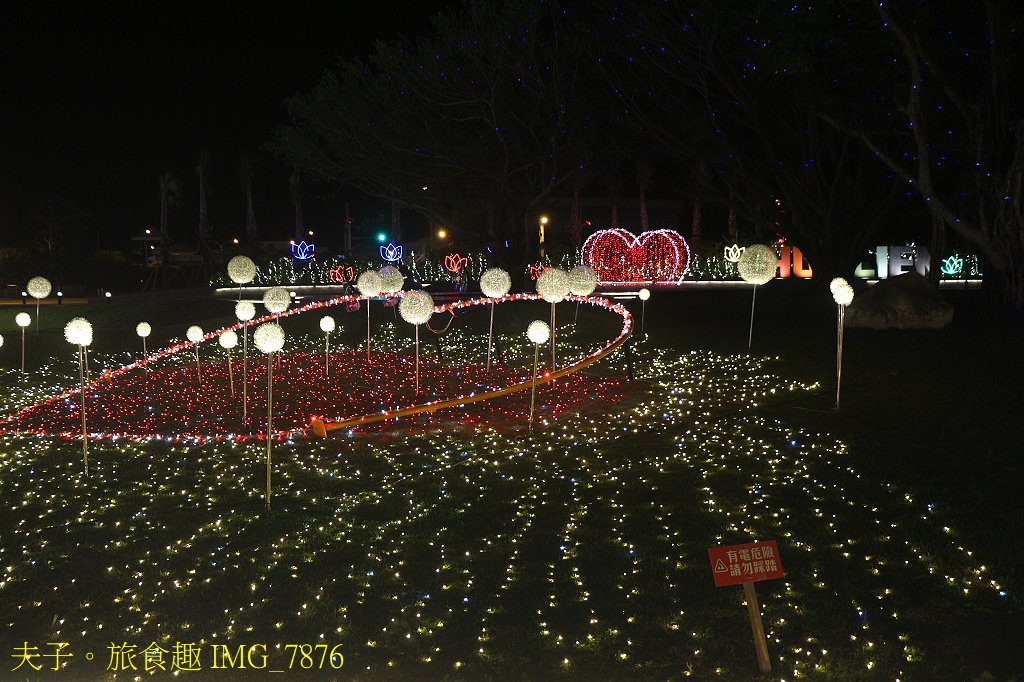 2025花蓮太平洋燈會 繁花盛開 百花齊放 新年走春首選