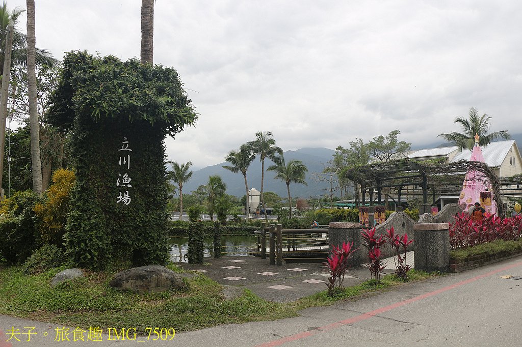 立川漁場 立川三寶 烏鰡原來是這麼的可愛