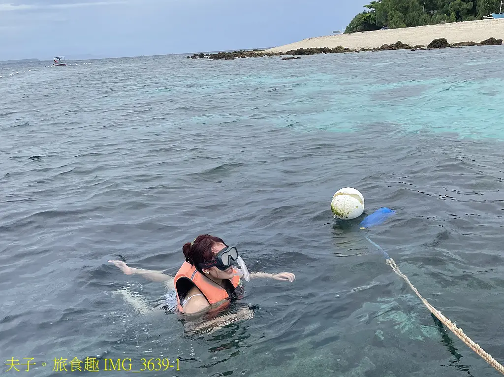 薄荷島 追蹤海豚 X 浮潛 X 沙丁魚風爆