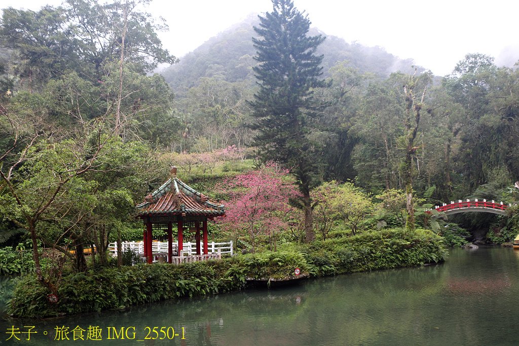 新北感溫祭 雲仙樂園 X 璞石麗緻溫泉會館 芬多精美食溫泉之