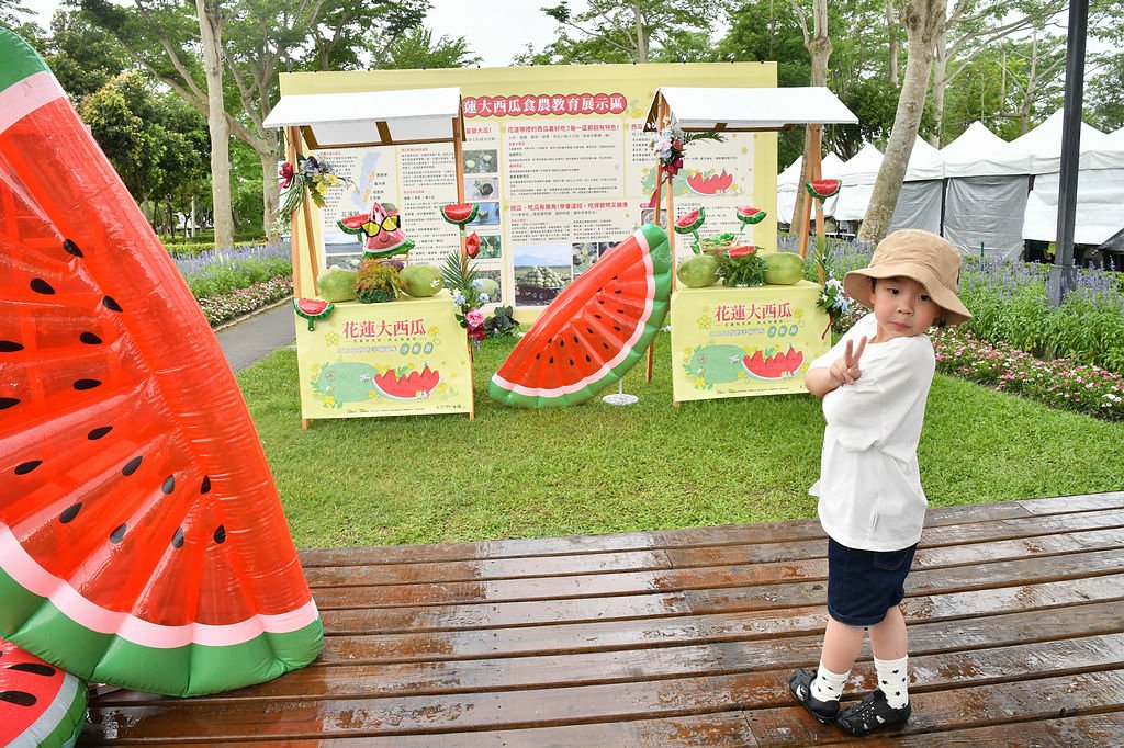 2025花蓮西瓜嘉年華甜蜜登場 宅配購買花蓮大西瓜好方便 還